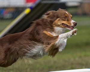 20220918-PVKC-0821.jpg