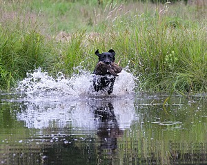 20130713-MHB2-0202.jpg