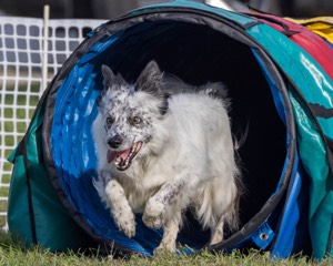20230916-PVKC-1645.jpg