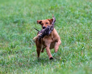 20150913-SEAL-0416.jpg
