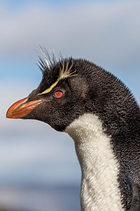20191212-0281.jpg