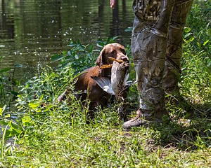 20170716-WCXW-1240.jpg