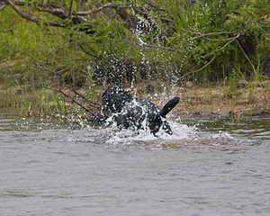 20080531-HRW-0548.jpg