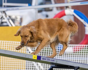 20230916-PVKC-1729.jpg