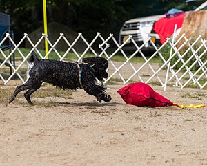 20210912-WWD-0706.jpg