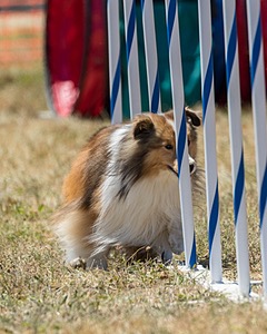 20160618-CCKC-1890.jpg