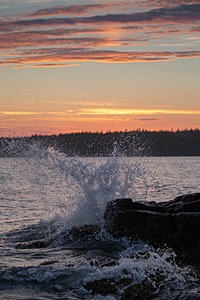 20180708-1125.jpg