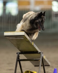 Stella Corriveau