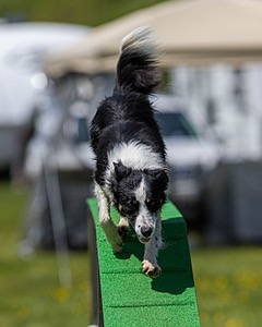Jaxx Erskine