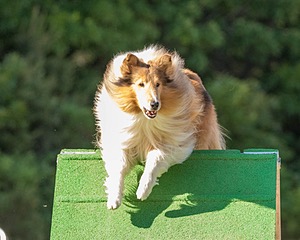 20160618-CCKC-2430.jpg