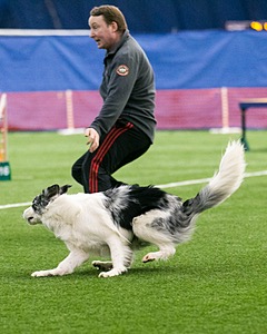Elvis Winther