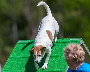 20170521-NEAT-0420.jpg