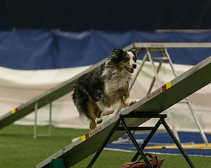 20150321-LEAP-1443.jpg