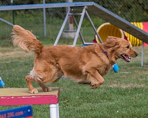 20200819-0400.jpg