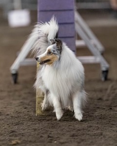Breeze Thompson
