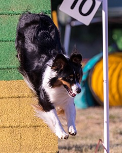 Kona Destremps