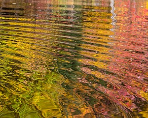 20191013-C-0037.jpg
