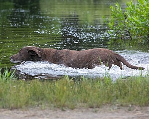 20130713-MHB2-0103.jpg
