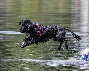 "Mistral" & Tobi-Ann