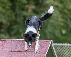 20200819-3003.jpg