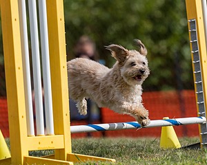 20200819-1060.jpg