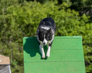 20160619-CCKC-0108.jpg
