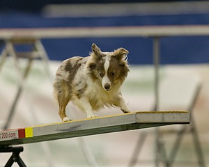 20150321-LEAP-1584.jpg