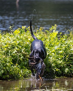 20210606-SEAW-1336.jpg