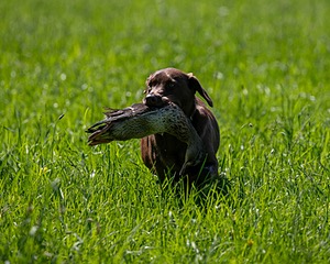 20210605-SHL-1457.jpg