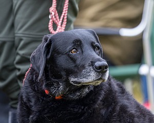 20211010-WCL-1038.jpg