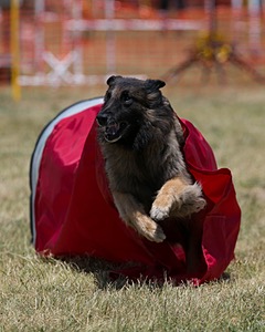 20150613-CCKC-0473.jpg