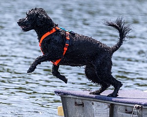 Sedona O'Brien