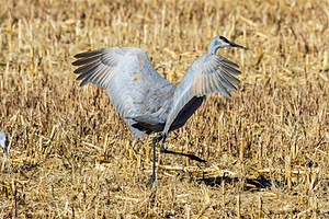 20151206-1919.jpg