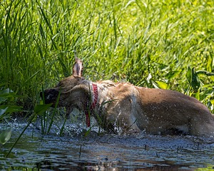 20220604-SHW-2011.jpg
