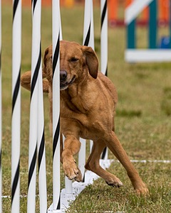 20190616-CCKC-1574.jpg