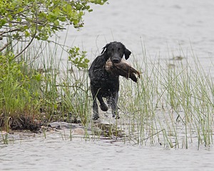 20080531-HRW-0945.jpg