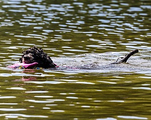 Tango Abbruzzese