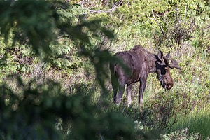20200622-3299.jpg