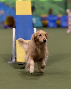 20260221-0680.jpg