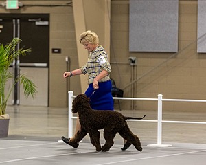14 - Kendall’s Anyone Can Whistle TKN (Betty)