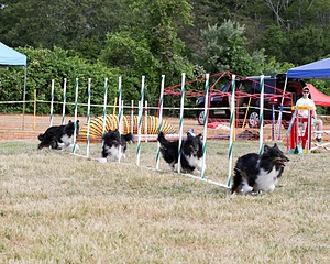 20150614-CCKCMC-0002.jpg