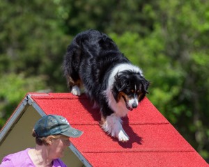 Kona Destremps