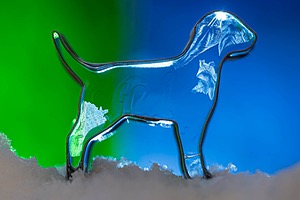 20250211-0037.jpg