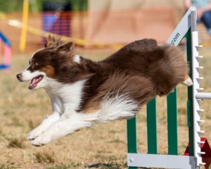 20160619-CCKC-0139.jpg