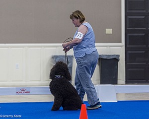 R15 - GCH CH LANDACRE'S NORDIC SAILOR DN CGC TKI