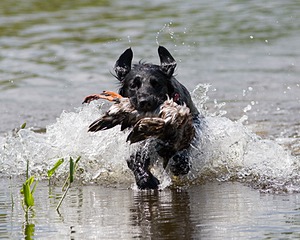 20080601-SRW-1015.jpg