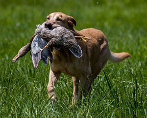 20240720-MH1-0658.jpg