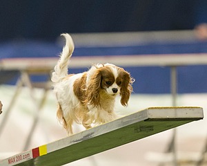 20150321-LEAP-1639.jpg
