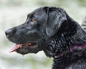 20220604-SHW-0220.jpg