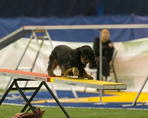 20150321-LEAP-1311.jpg